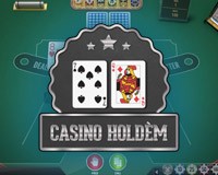 Playtech - игровой автомат онлайн от Various с RTP 95.84%